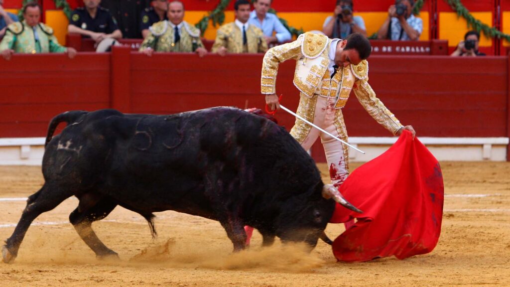 torero Enrique Ponce