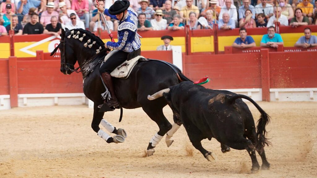 Guillermo Hermoso de Mendoza en Alicante