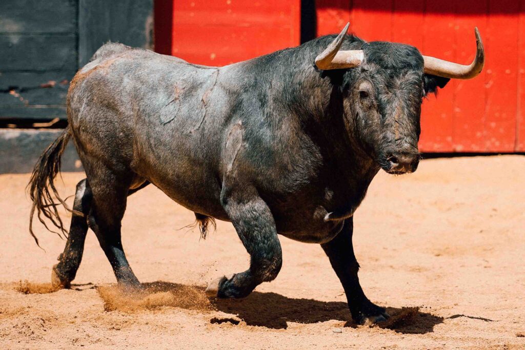 Ganadería Victorino Martín